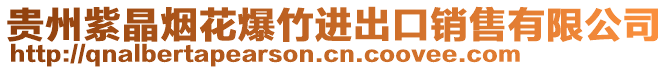 貴州紫晶煙花爆竹進(jìn)出口銷售有限公司