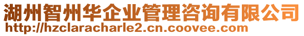 湖州智州華企業管理咨詢有限公司