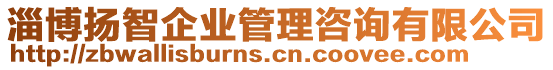 淄博揚(yáng)智企業(yè)管理咨詢有限公司