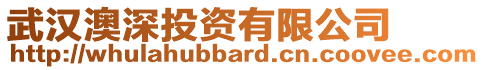 武漢澳深投資有限公司