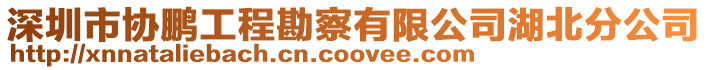 深圳市協鵬工程勘察有限公司湖北分公司