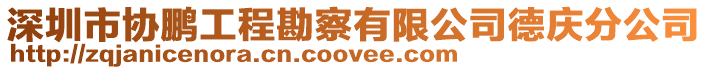 深圳市協鵬工程勘察有限公司德慶分公司