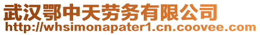 武漢鄂中天勞務(wù)有限公司