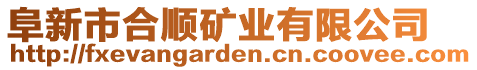 阜新市合順礦業(yè)有限公司