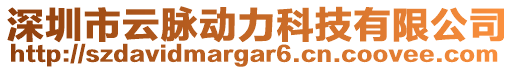 深圳市云脈動(dòng)力科技有限公司