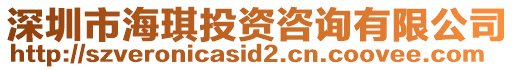 深圳市海琪投資咨詢有限公司