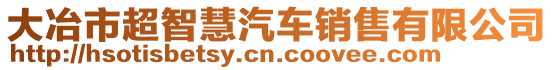 大冶市超智慧汽車銷售有限公司