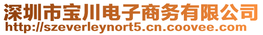 深圳市寶川電子商務(wù)有限公司