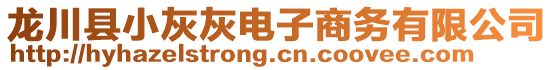 龍川縣小灰灰電子商務有限公司