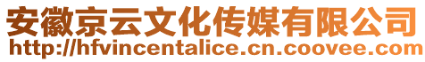 安徽京云文化傳媒有限公司