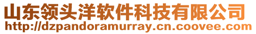 山東領(lǐng)頭洋軟件科技有限公司