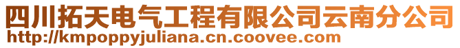 四川拓天電氣工程有限公司云南分公司