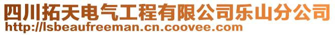 四川拓天電氣工程有限公司樂山分公司