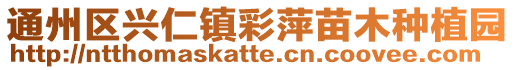 通州區興仁鎮彩萍苗木種植園