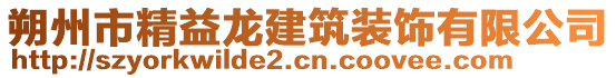 朔州市精益龍建筑裝飾有限公司