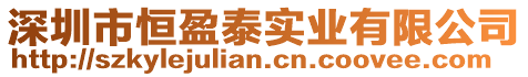 深圳市恒盈泰實業有限公司