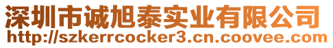 深圳市誠旭泰實業有限公司