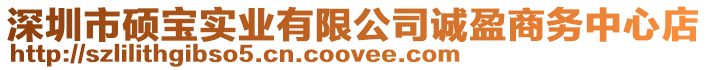 深圳市碩寶實業有限公司誠盈商務中心店