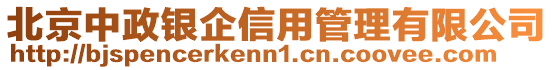 北京中政銀企信用管理有限公司