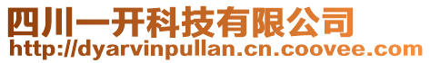 四川一開科技有限公司