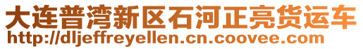 大連普灣新區(qū)石河正亮貨運(yùn)車(chē)