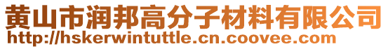 黃山市潤(rùn)邦高分子材料有限公司