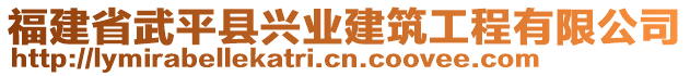 福建省武平縣興業(yè)建筑工程有限公司