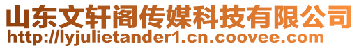 山東文軒閣傳媒科技有限公司