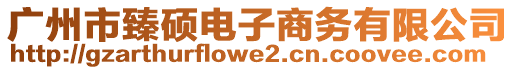 廣州市臻碩電子商務(wù)有限公司