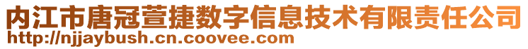 內江市唐冠萱捷數(shù)字信息技術有限責任公司