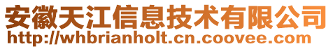 安徽天江信息技術有限公司