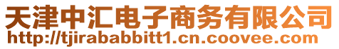 天津中匯電子商務有限公司