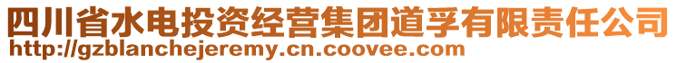 四川省水電投資經營集團道孚有限責任公司