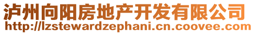 瀘州向陽(yáng)房地產(chǎn)開(kāi)發(fā)有限公司