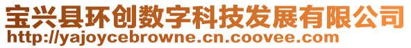 寶興縣環(huán)創(chuàng)數(shù)字科技發(fā)展有限公司