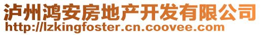 瀘州鴻安房地產(chǎn)開發(fā)有限公司