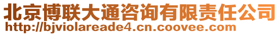 北京博聯(lián)大通咨詢有限責(zé)任公司