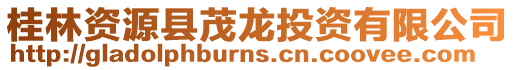 桂林資源縣茂龍投資有限公司