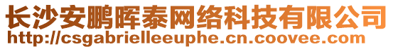 長沙安鵬暉泰網(wǎng)絡(luò)科技有限公司
