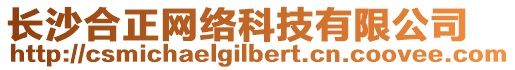 長沙合正網(wǎng)絡科技有限公司