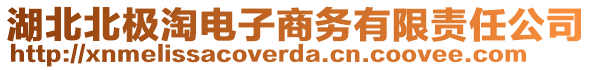 湖北北極淘電子商務有限責任公司