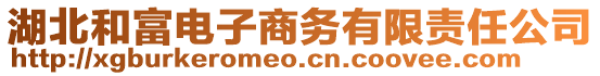 湖北和富電子商務(wù)有限責(zé)任公司