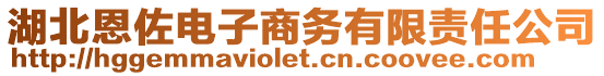 湖北恩佐電子商務(wù)有限責(zé)任公司