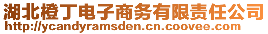 湖北橙丁電子商務有限責任公司