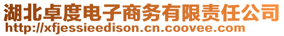 湖北卓度電子商務有限責任公司