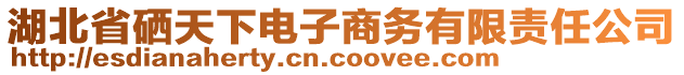 湖北省硒天下電子商務(wù)有限責(zé)任公司