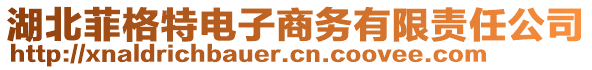 湖北菲格特電子商務有限責任公司