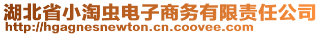 湖北省小淘蟲電子商務有限責任公司