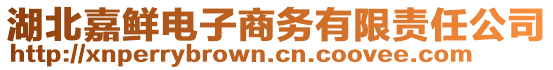 湖北嘉鮮電子商務有限責任公司
