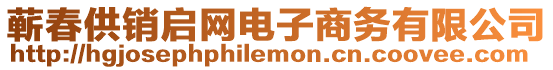 蘄春供銷啟網電子商務有限公司